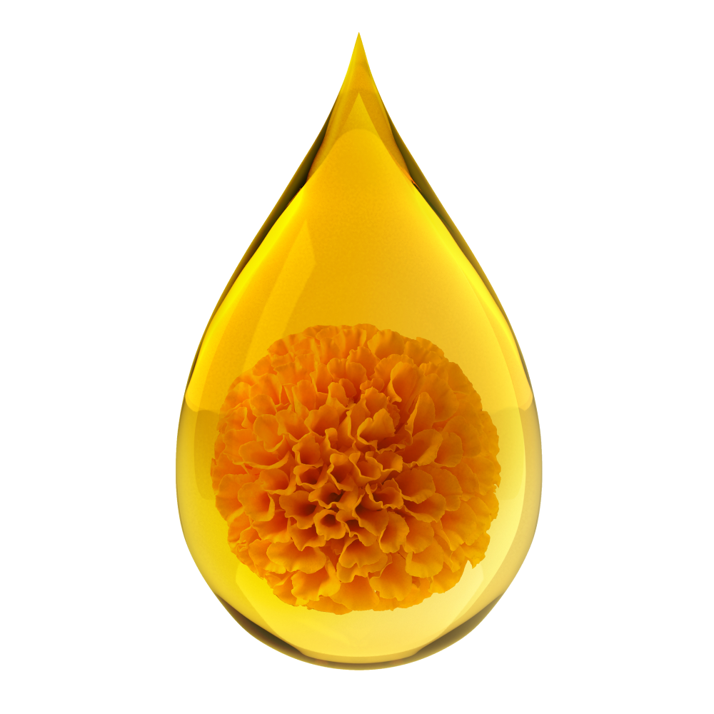 Luteina