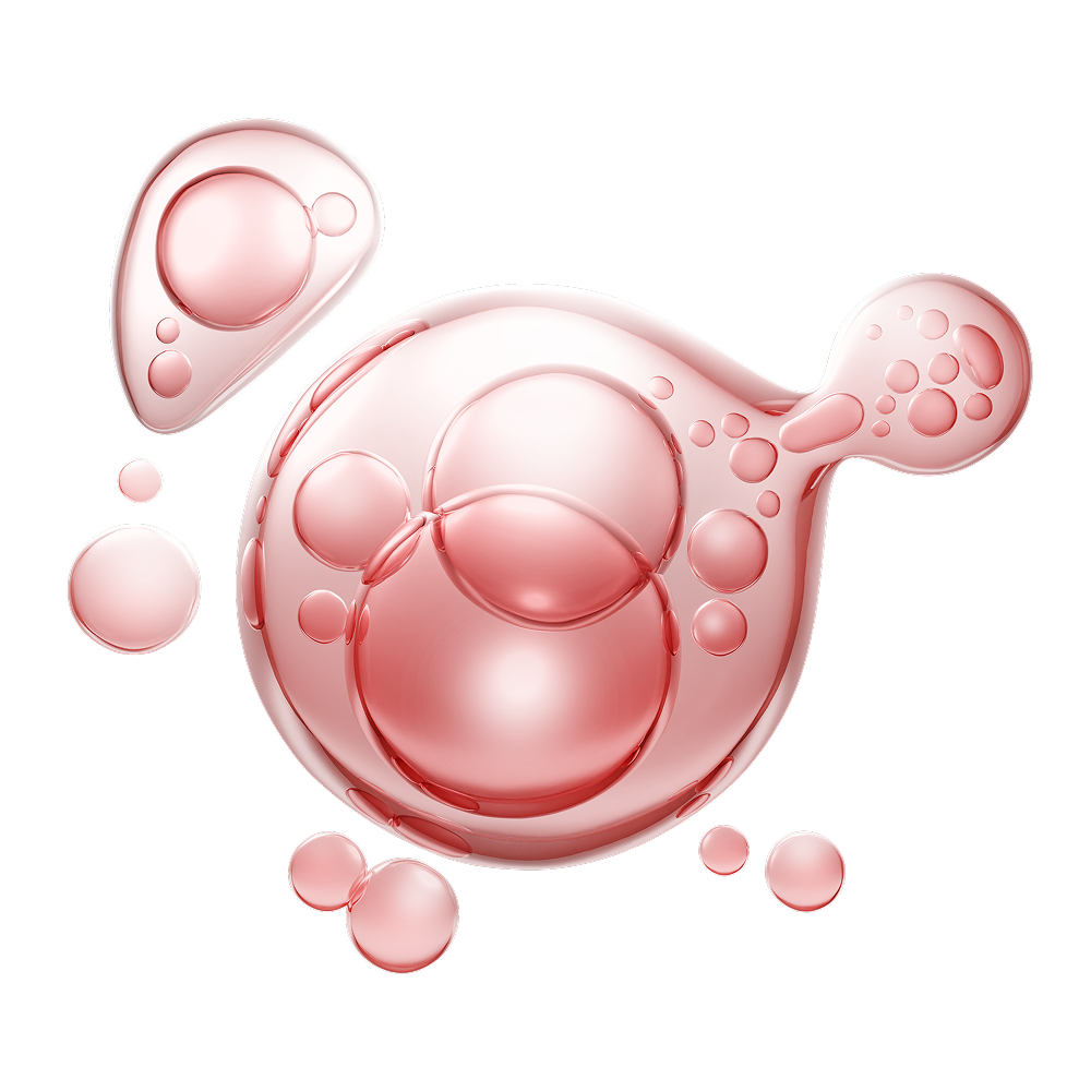 Collagene