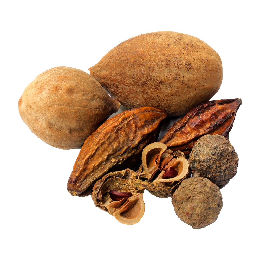 Miscela di Triphala