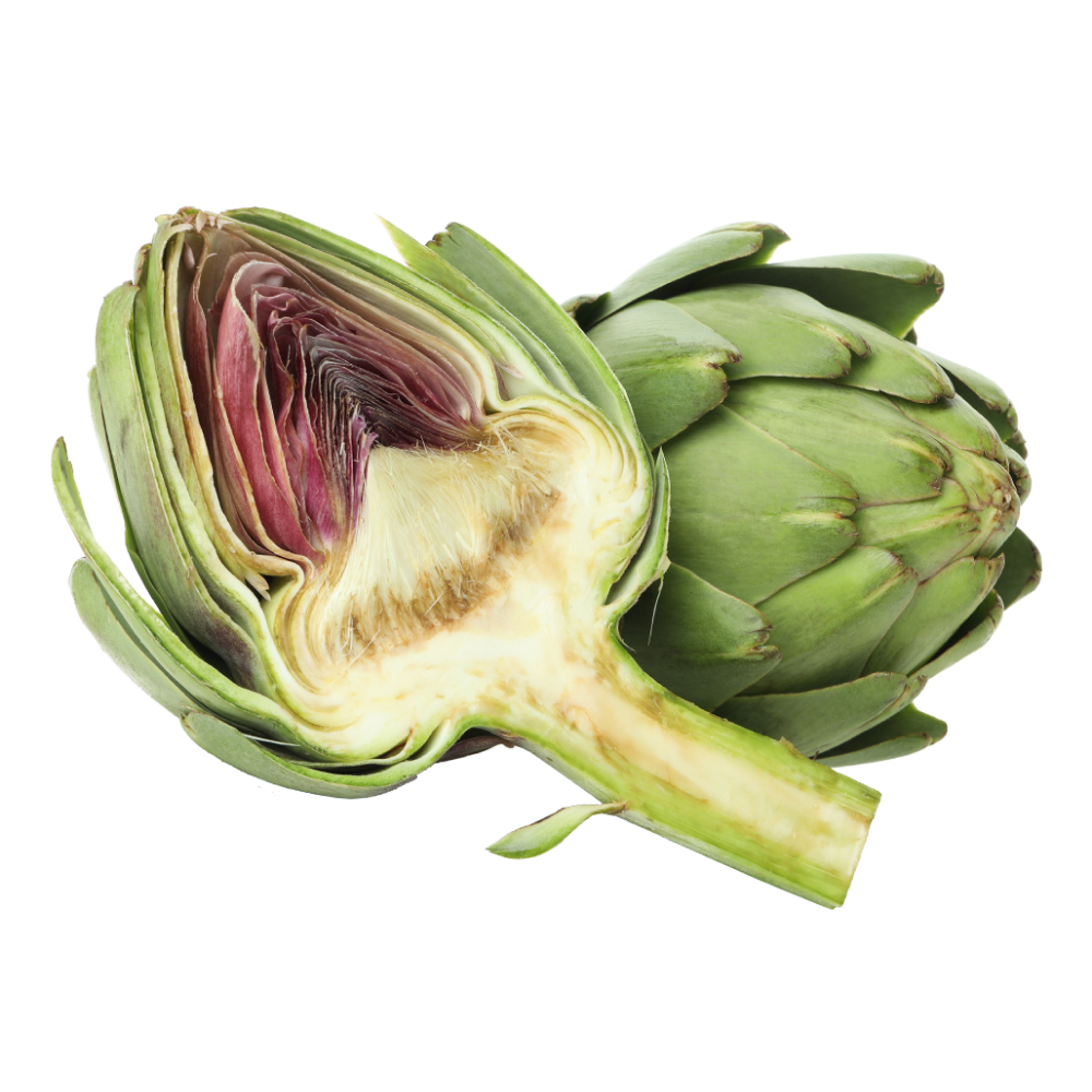 Carciofo