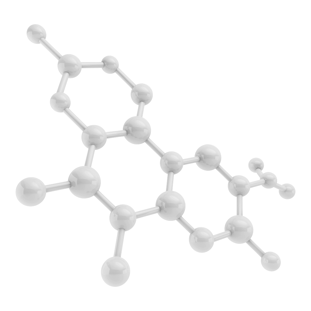 N-acetil-L-carnitina