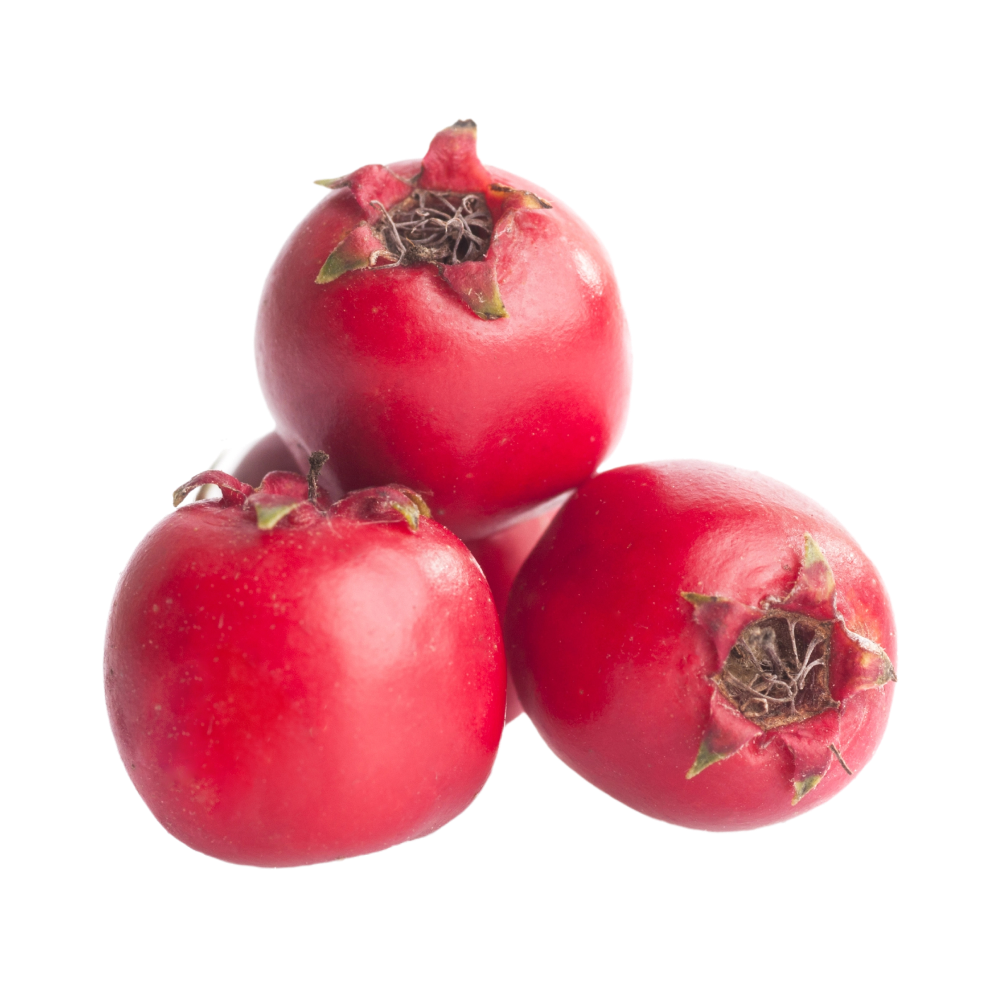 Estratto di biancospino